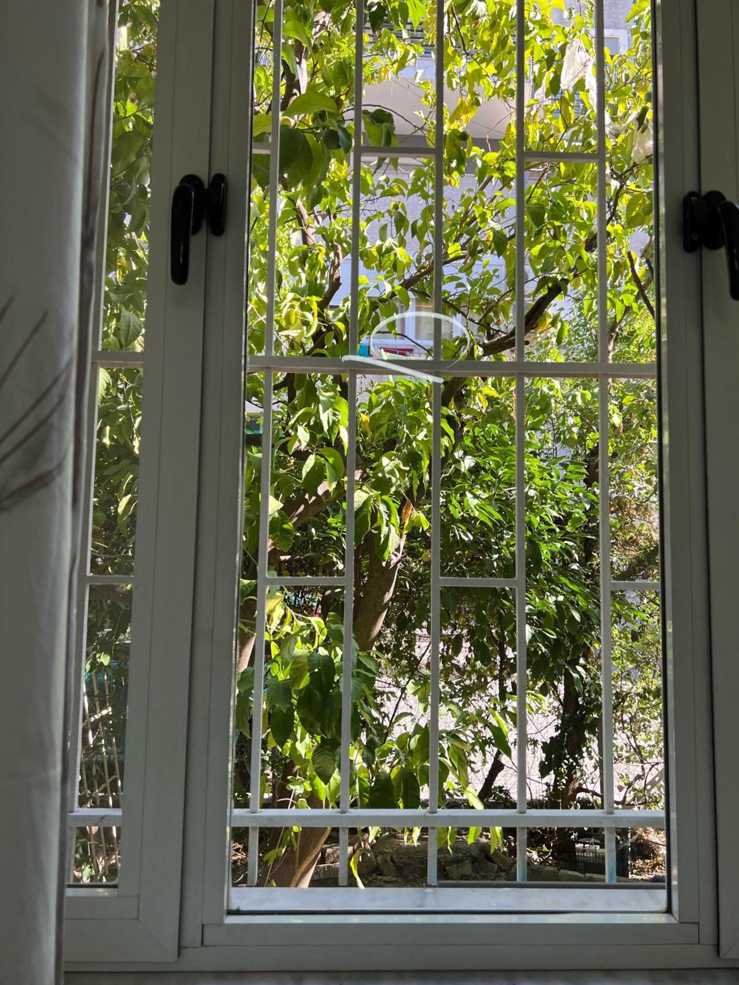 New Bazaar Cane Apartment 2 Τίρανα Εξωτερικό φωτογραφία